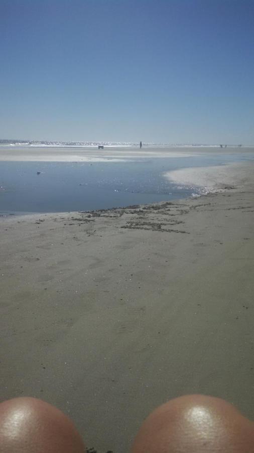 הילטון הד איילנד Nothing But Ocean In Forest Beach מראה חיצוני תמונה