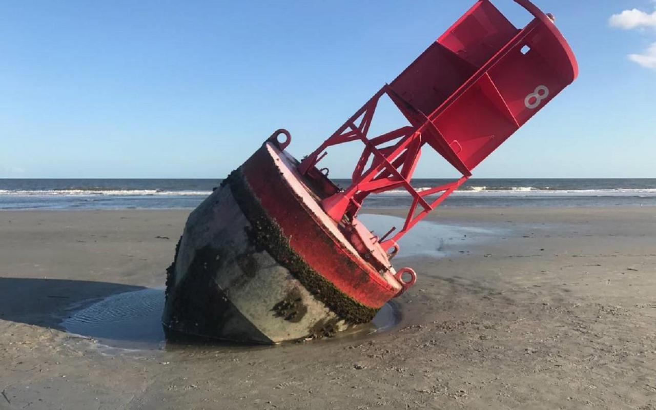 הילטון הד איילנד Nothing But Ocean In Forest Beach מראה חיצוני תמונה
